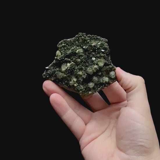 Specimen rotation video 0361