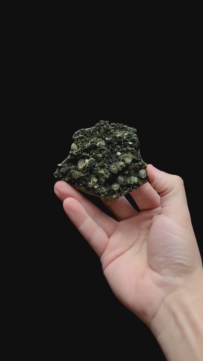Specimen rotation video 0361