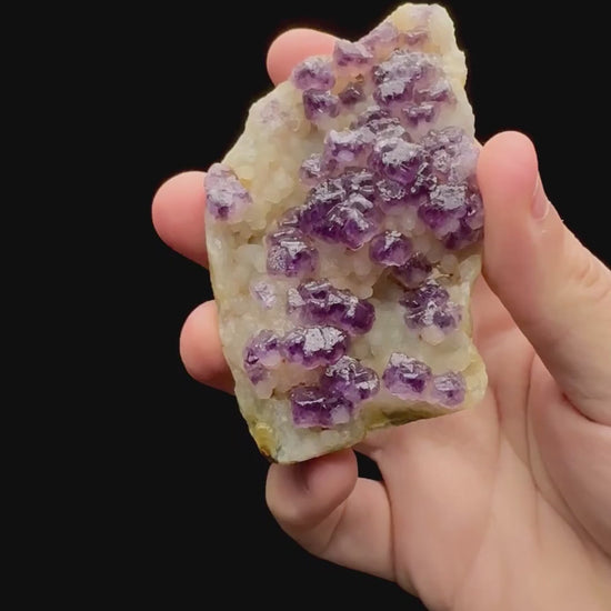 Specimen rotation video 082