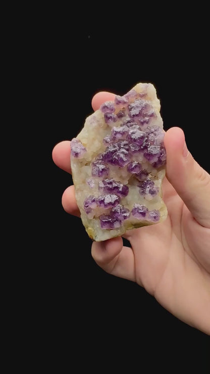 Specimen rotation video 082
