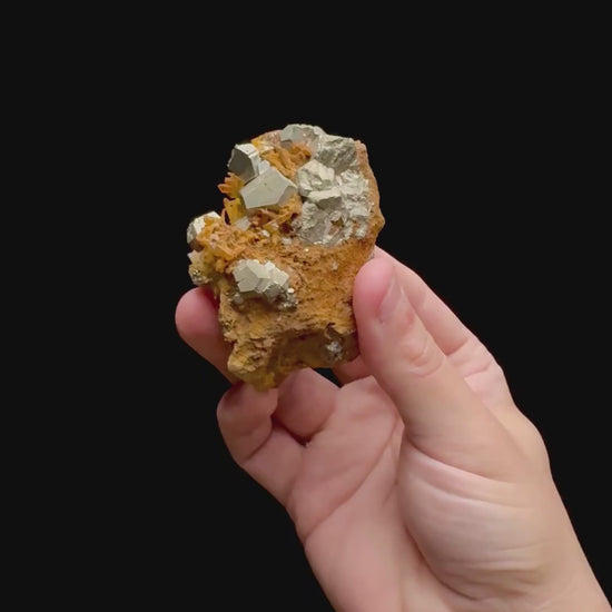 Specimen rotation video 0371