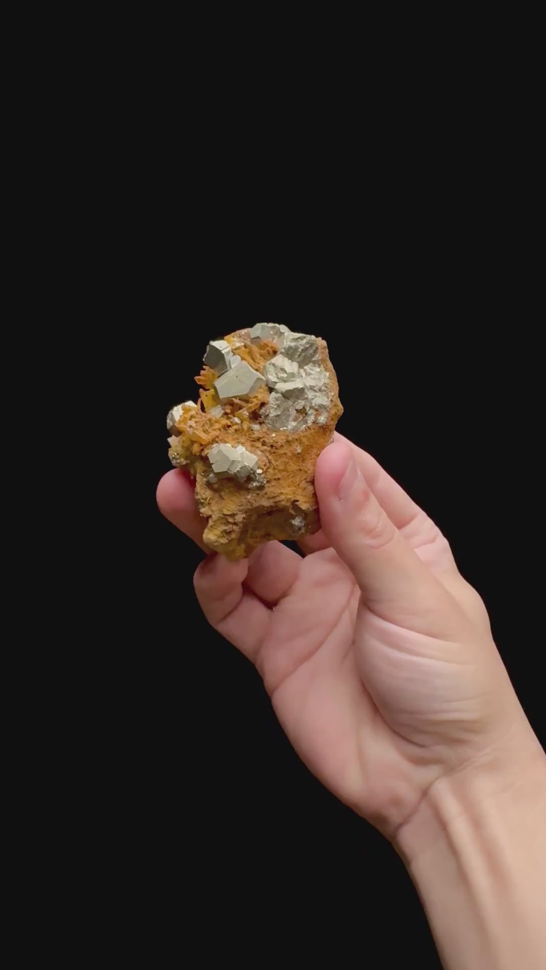 Specimen rotation video 0371