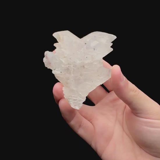 Specimen rotation video 115
