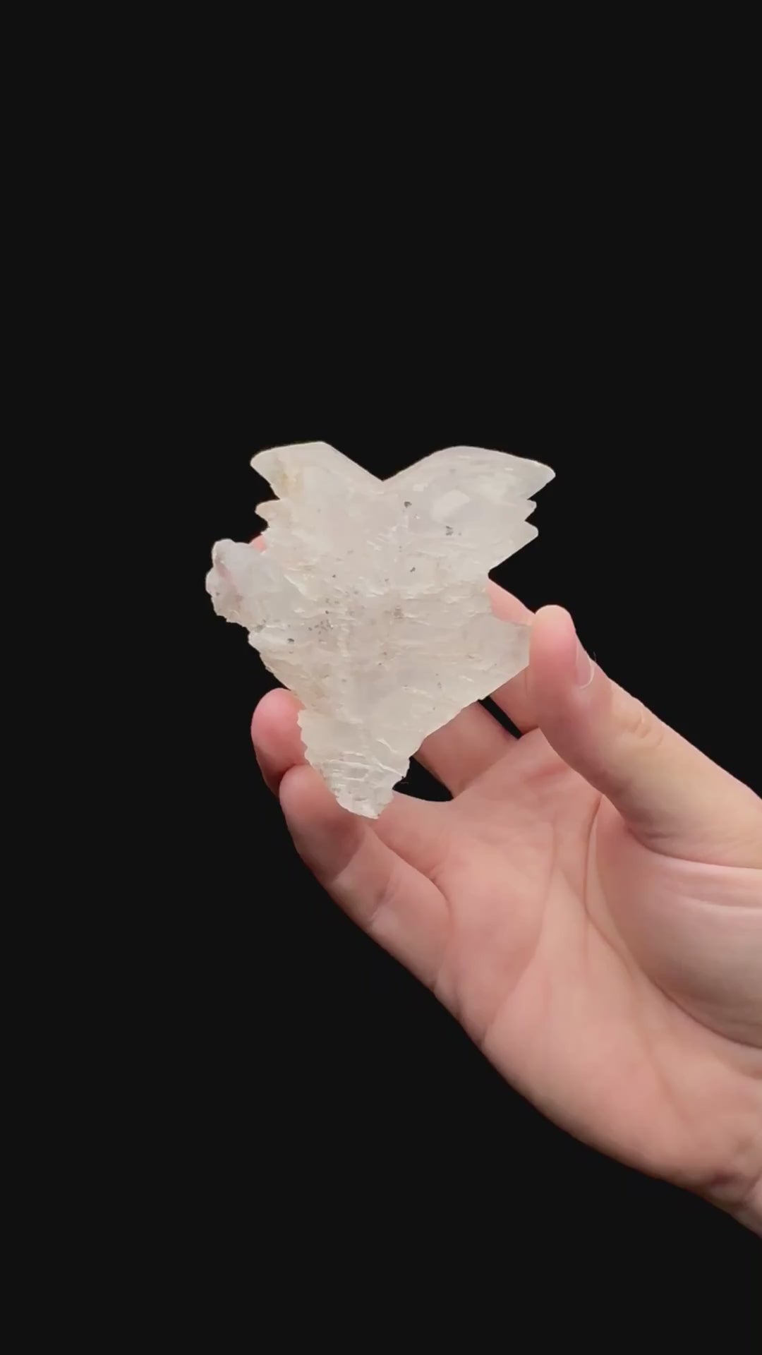 Specimen rotation video 115