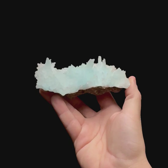 Specimen rotation video 0471