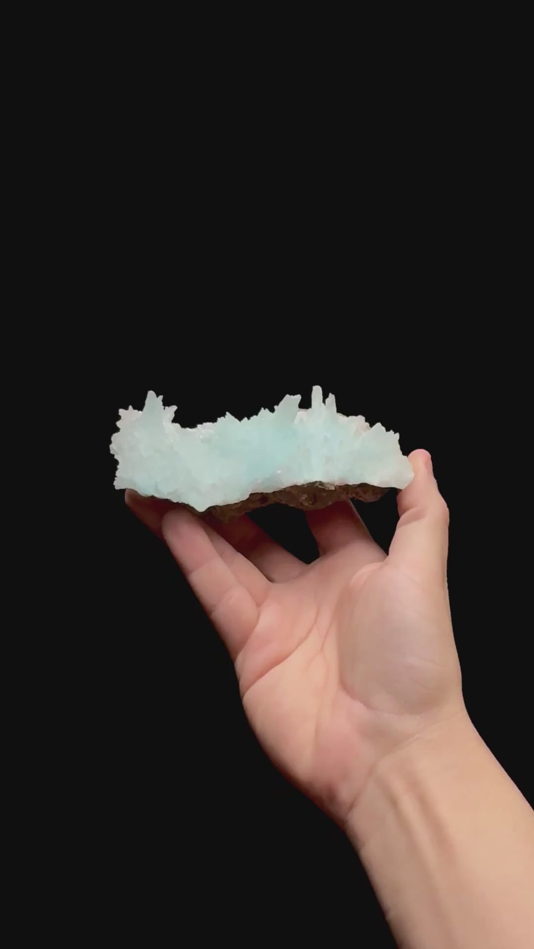 Specimen rotation video 0471