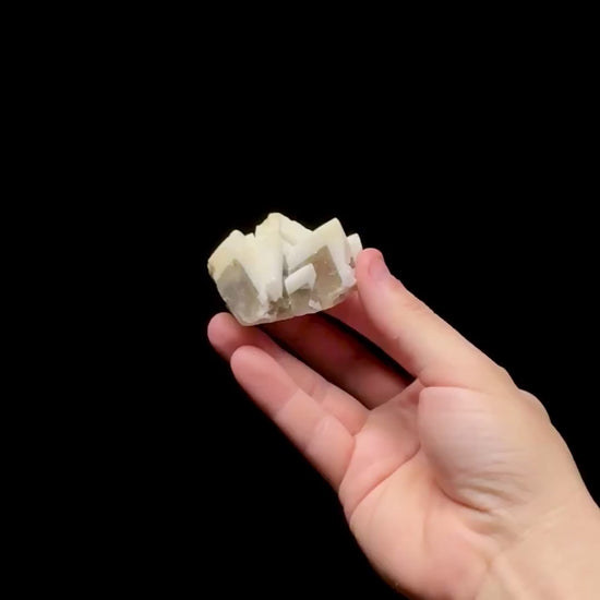Specimen rotation video 0753