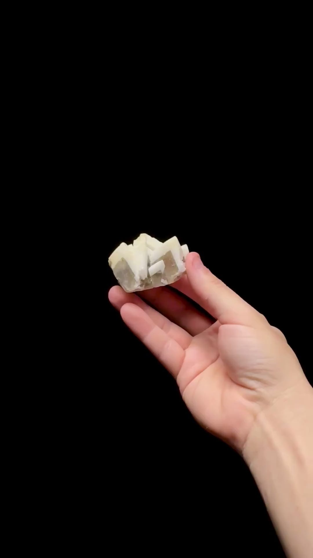Specimen rotation video 0753