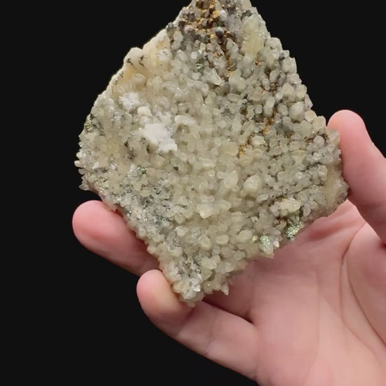Specimen rotation video 189