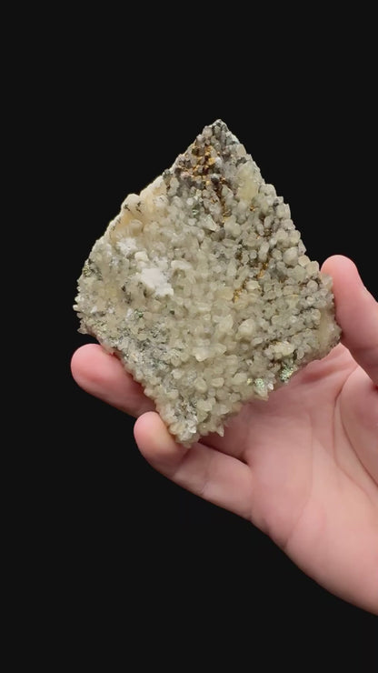 Specimen rotation video 189