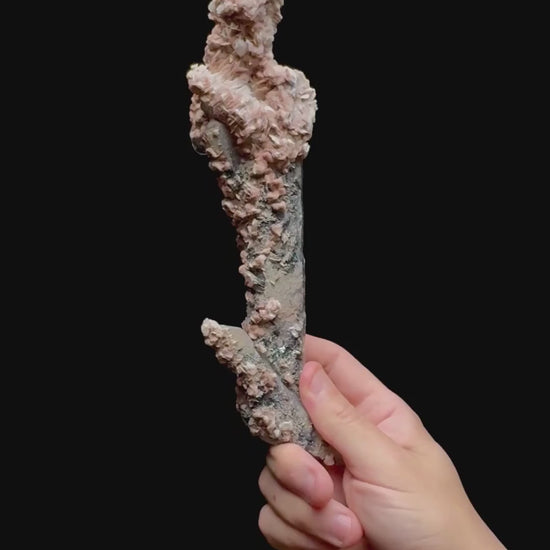 Specimen rotation video 0483
