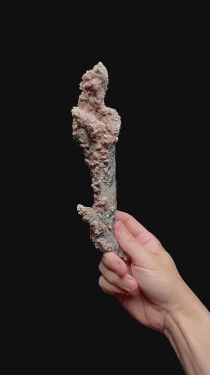Specimen rotation video 0483