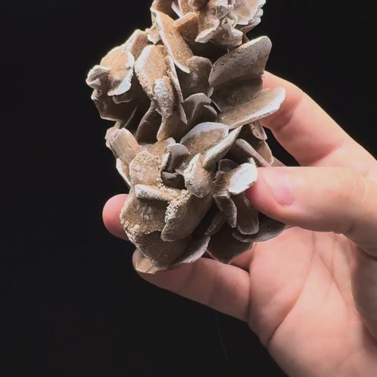 Specimen rotation video 316