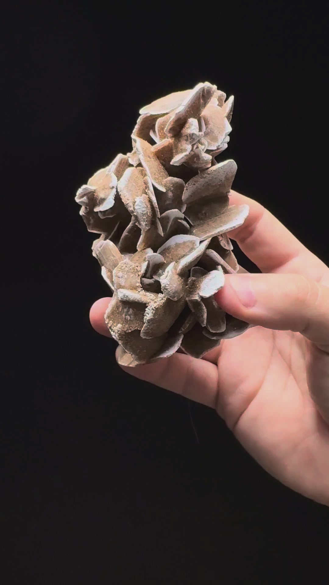 Specimen rotation video 316