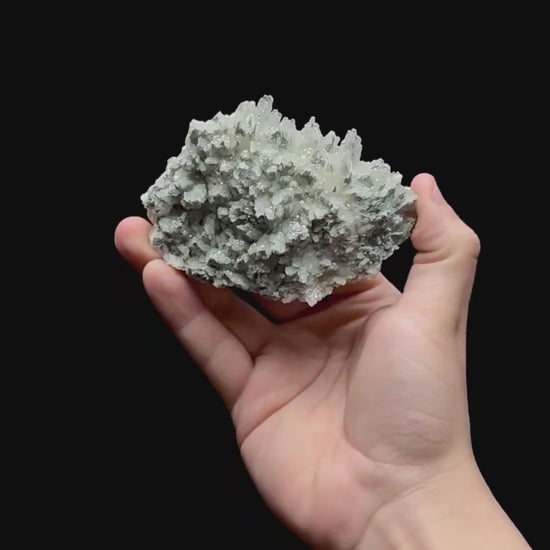 Specimen rotation video 0398