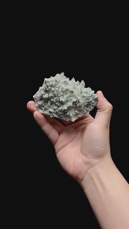 Specimen rotation video 0398