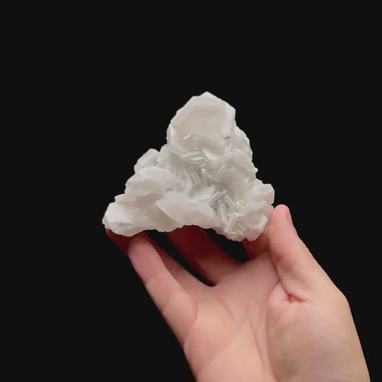 Specimen rotation video 0432