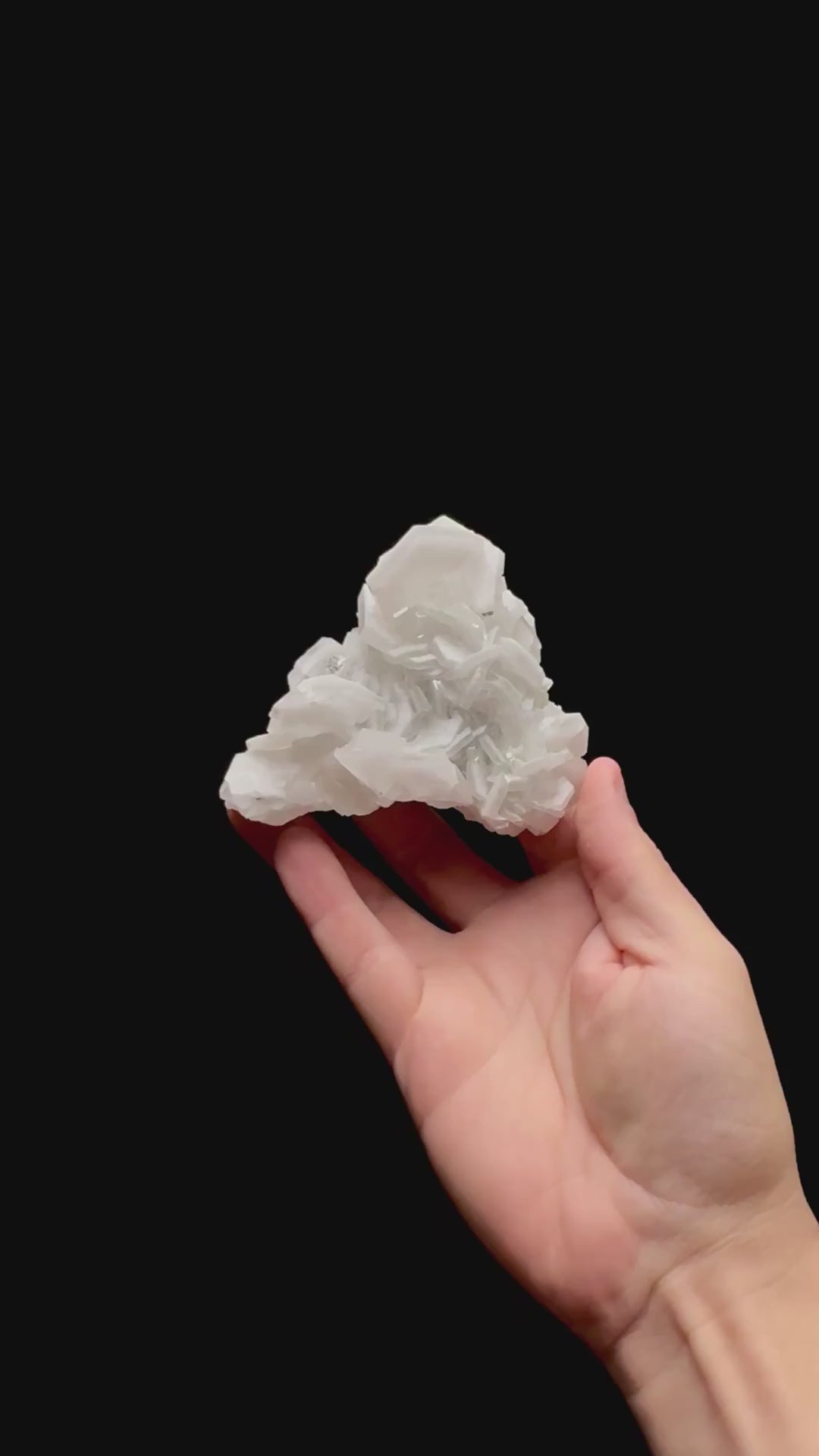 Specimen rotation video 0432
