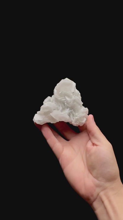 Specimen rotation video 0432