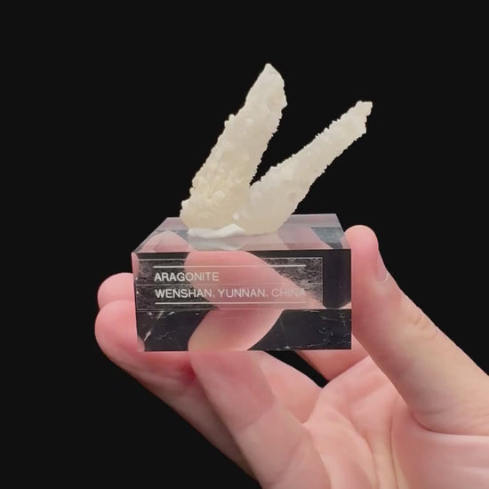 Specimen rotation video 175