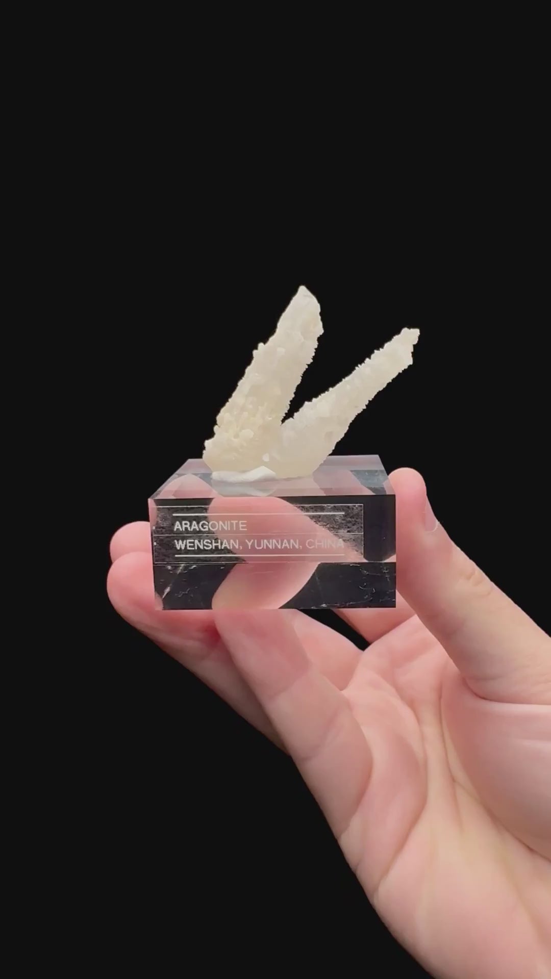 Specimen rotation video 175