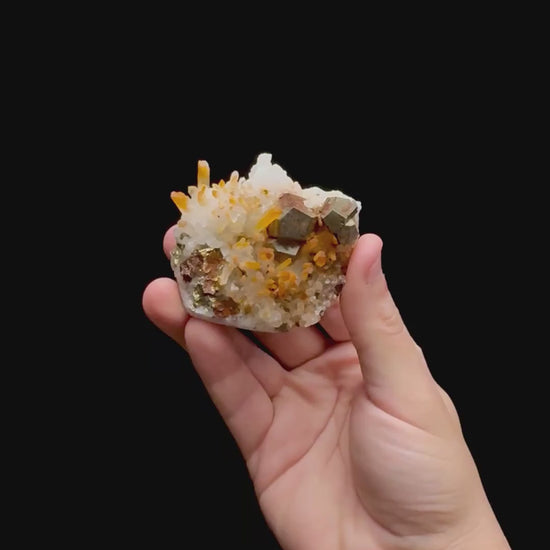 Specimen rotation video 0372