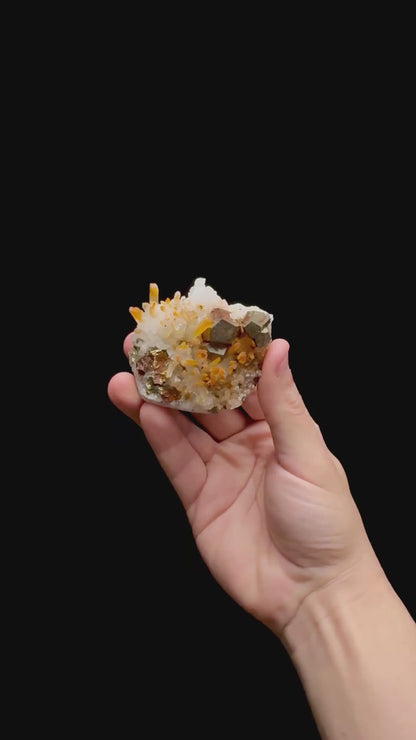 Specimen rotation video 0372