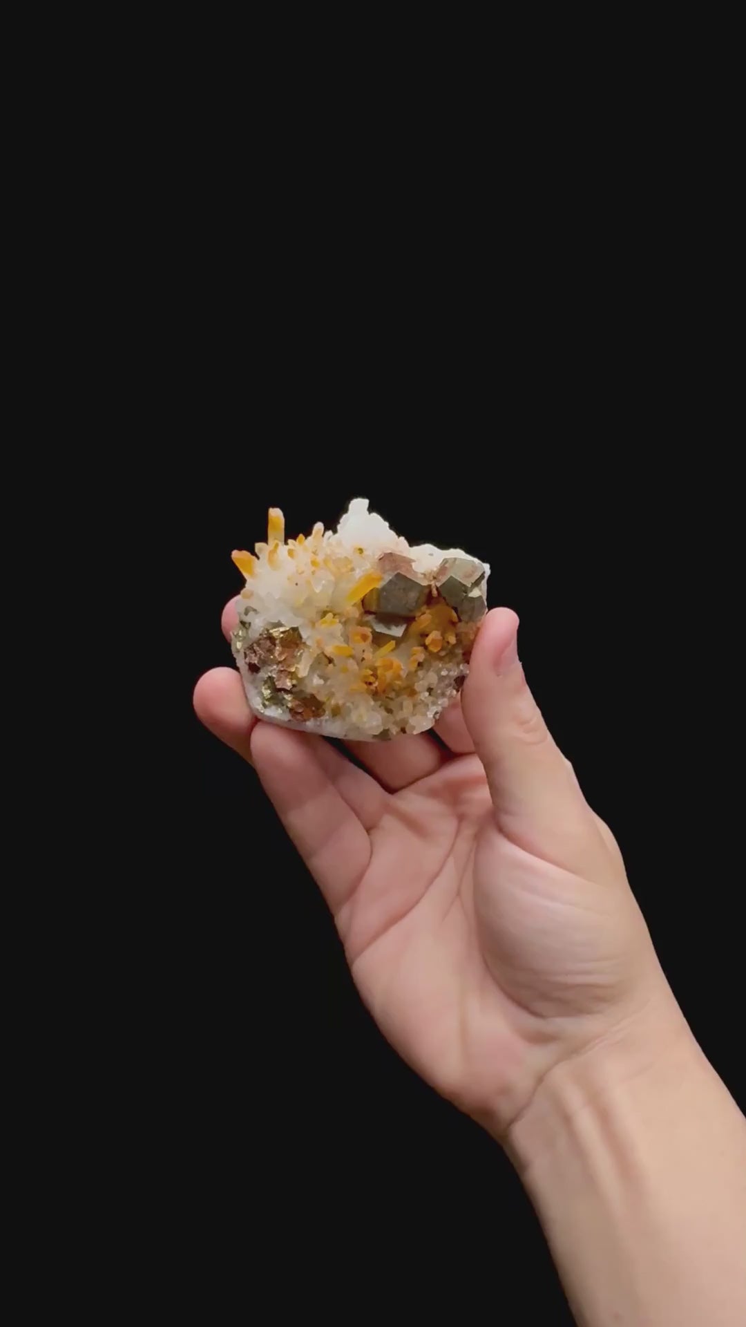 Specimen rotation video 0372