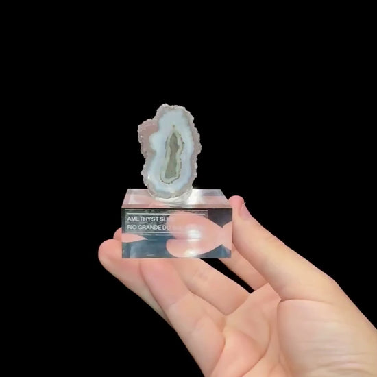 Specimen rotation video 0667