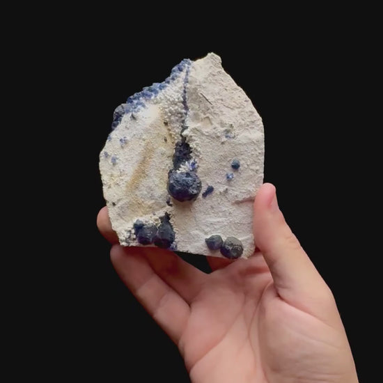 Specimen rotation video 0492