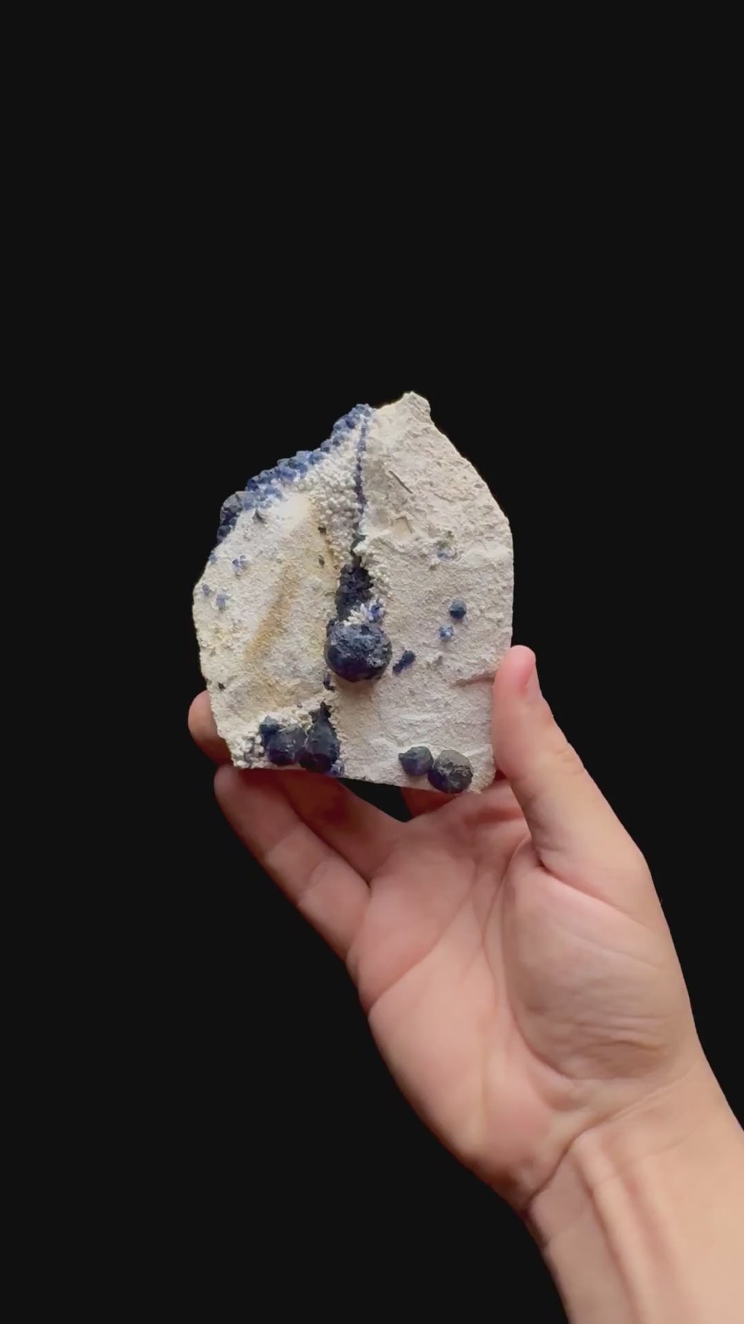 Specimen rotation video 0492