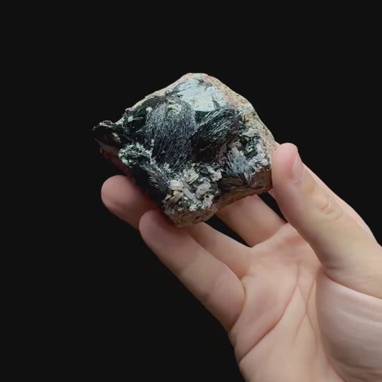 Specimen rotation video 0715