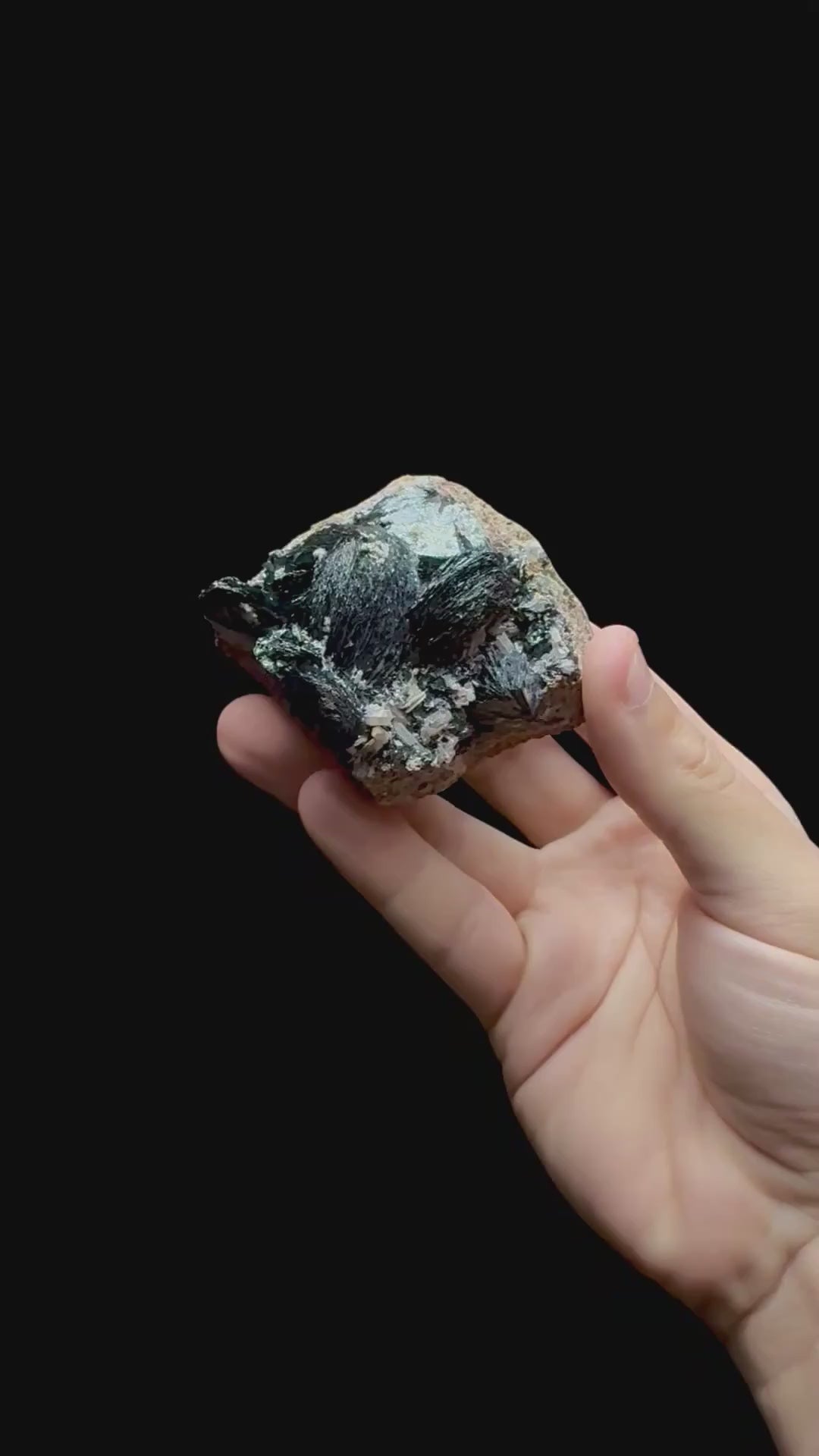 Specimen rotation video 0715
