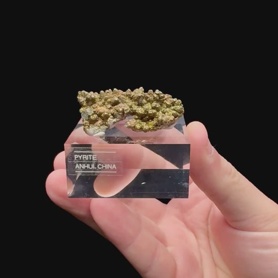 Specimen rotation video 192
