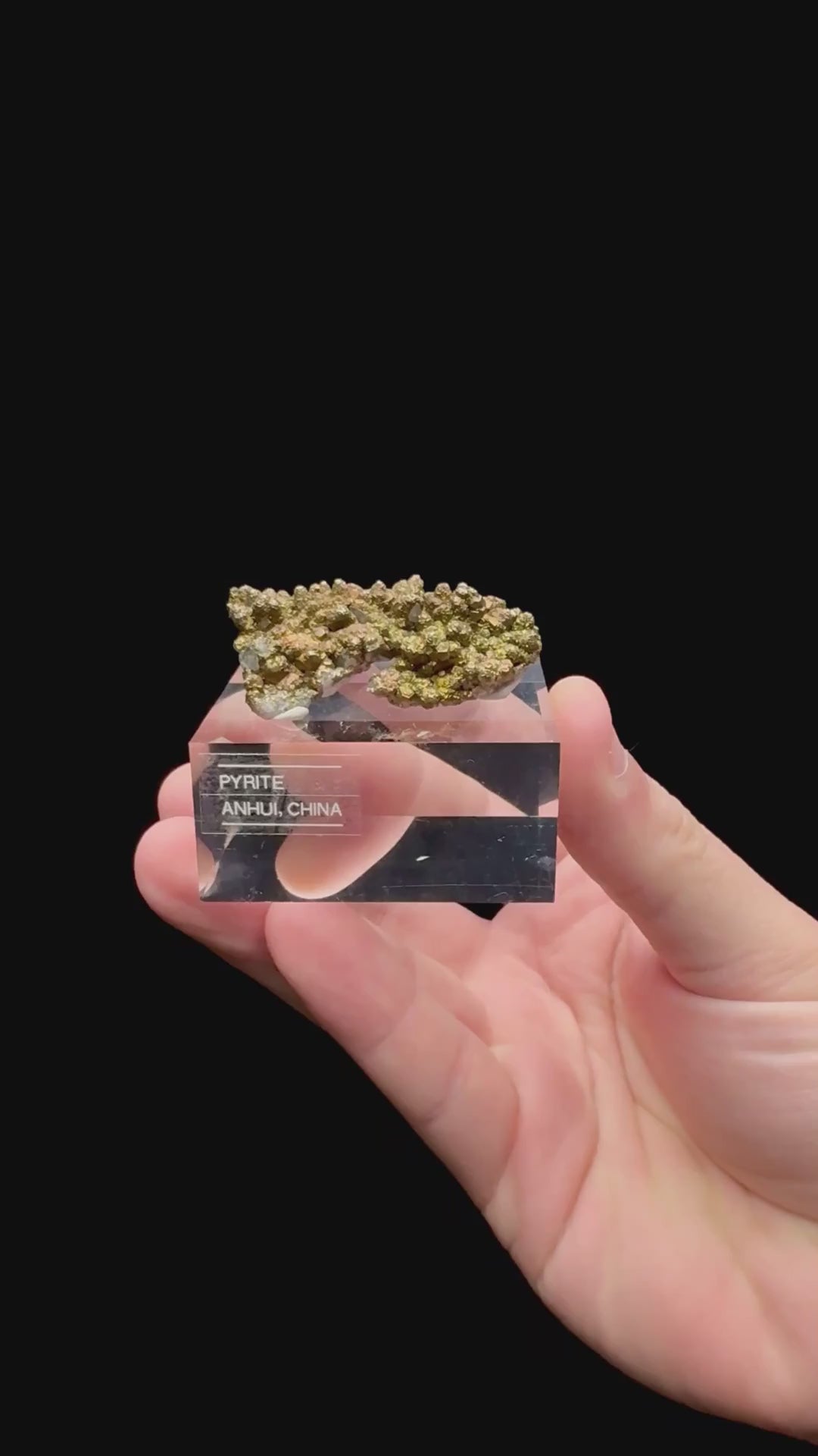 Specimen rotation video 192