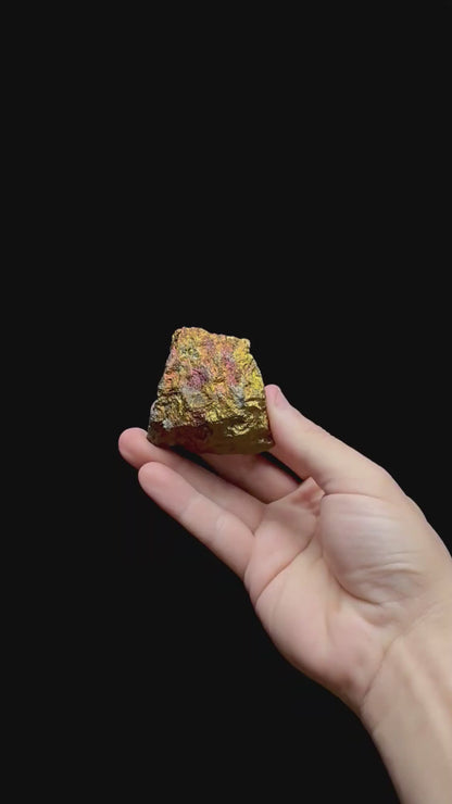 Specimen rotation video 0353