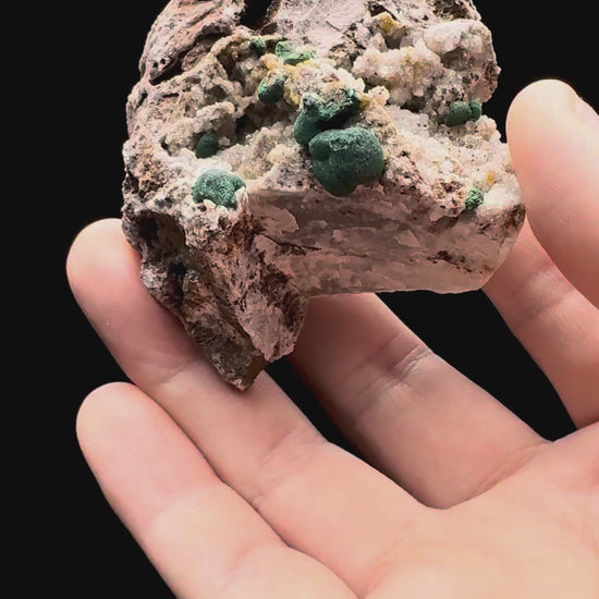Specimen rotation video 555