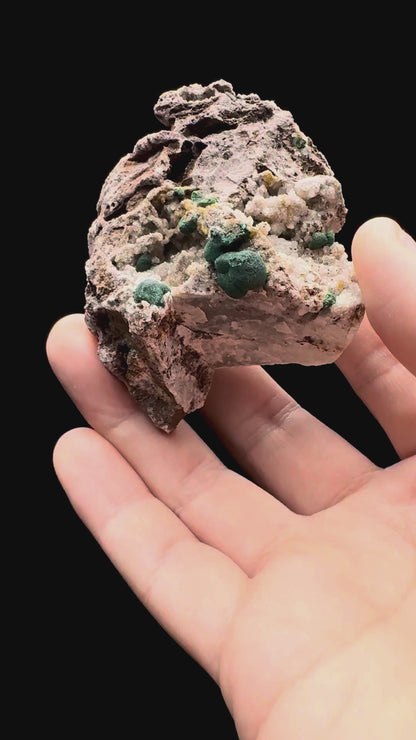 Specimen rotation video 555