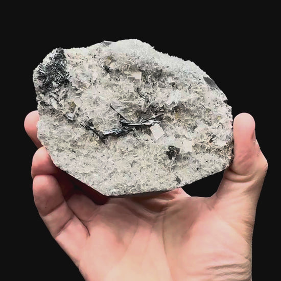 Specimen rotation video 028