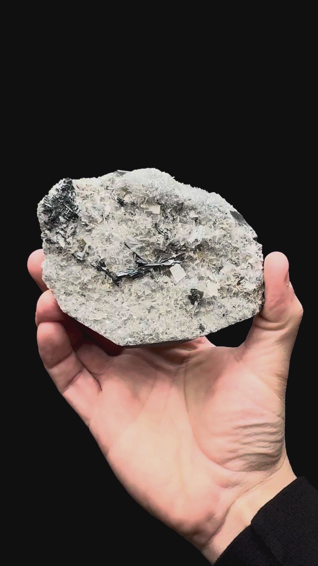 Specimen rotation video 028