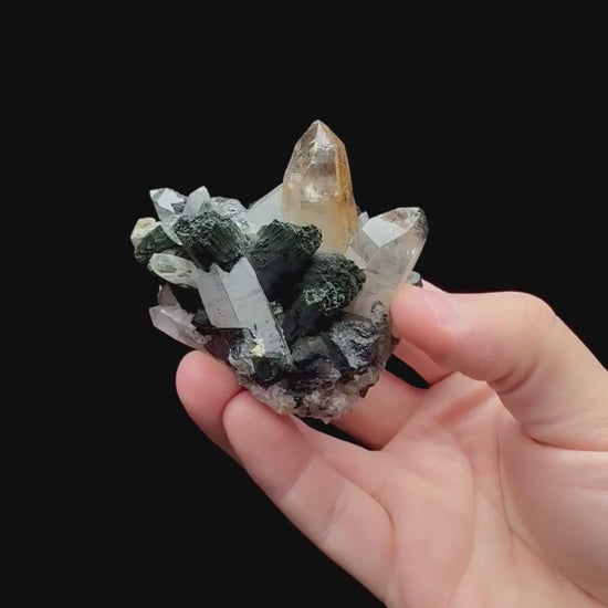 Specimen rotation video 212