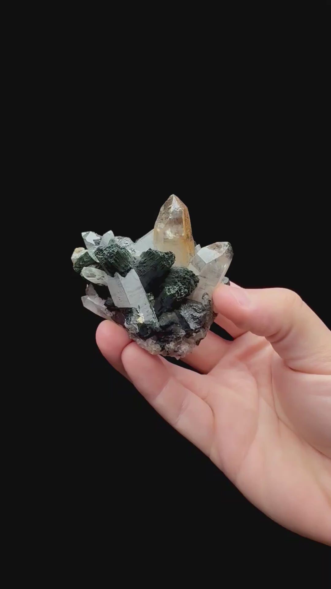 Specimen rotation video 212