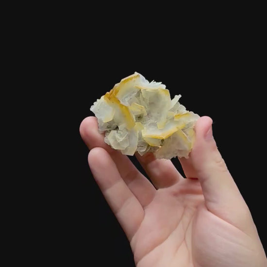 Specimen rotation video 0396