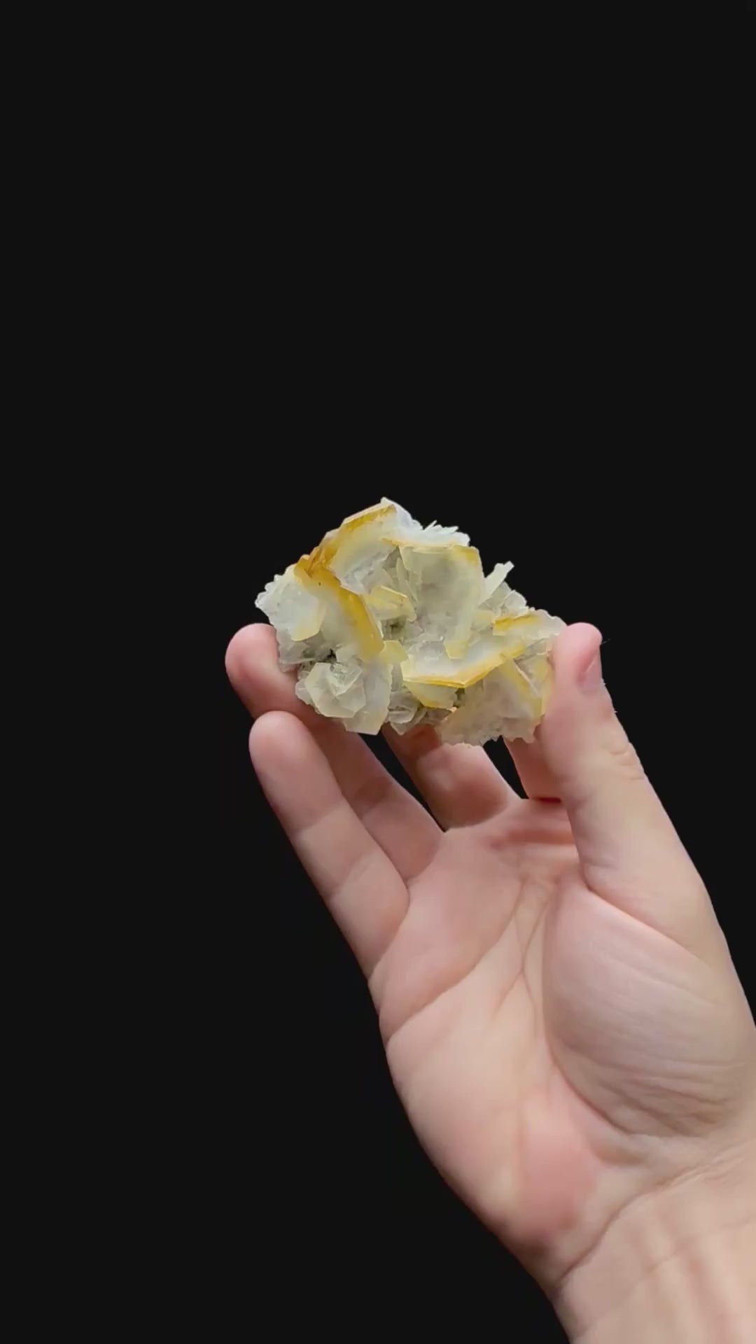 Specimen rotation video 0396