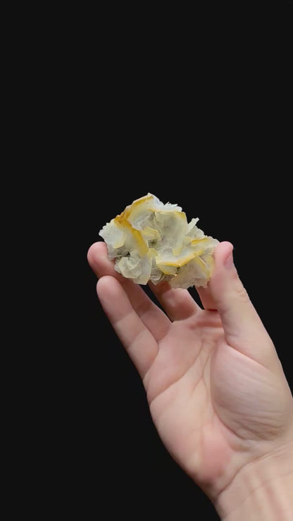 Specimen rotation video 0396