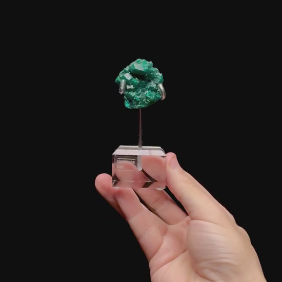 Specimen rotation video 0445