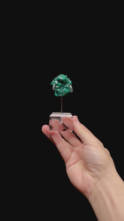 Specimen rotation video 0445