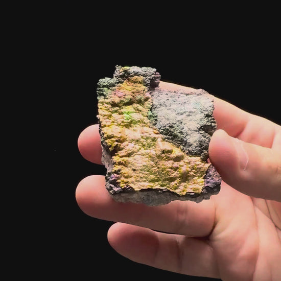 Specimen rotation video 364