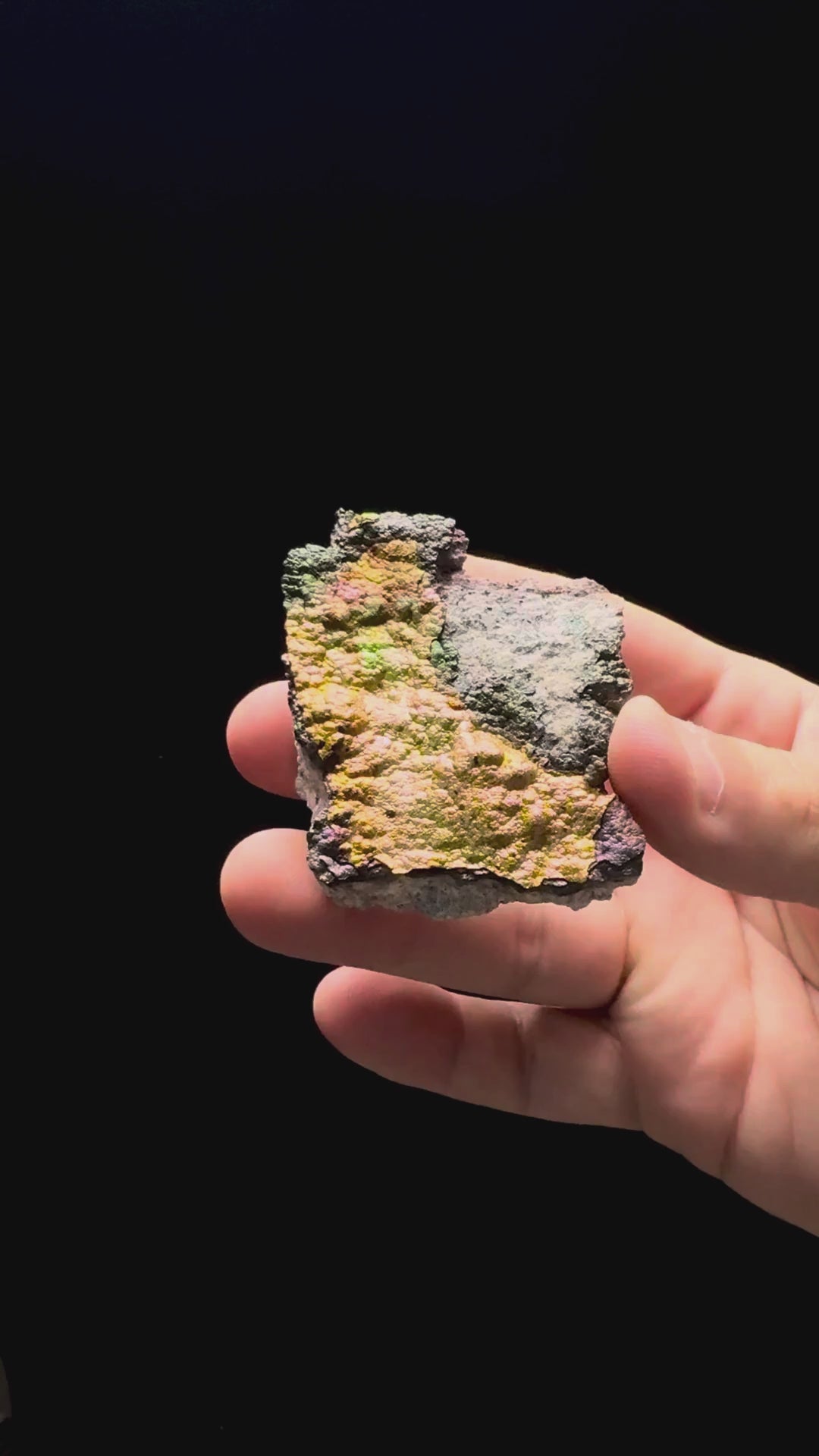 Specimen rotation video 364
