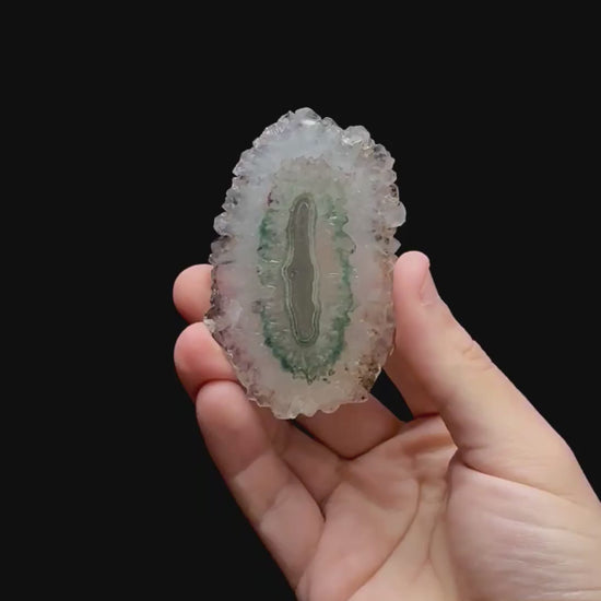 Specimen rotation video 0349